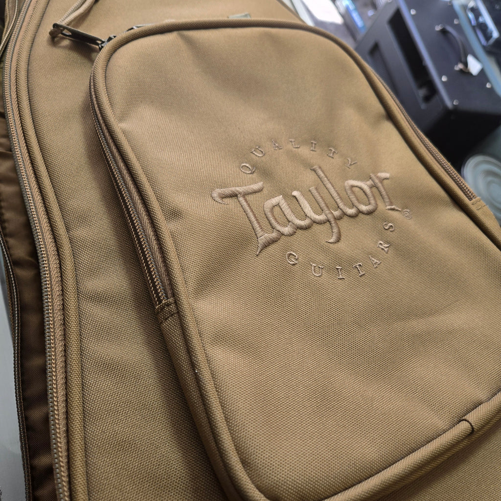 Pre loved Baby Taylor BT2