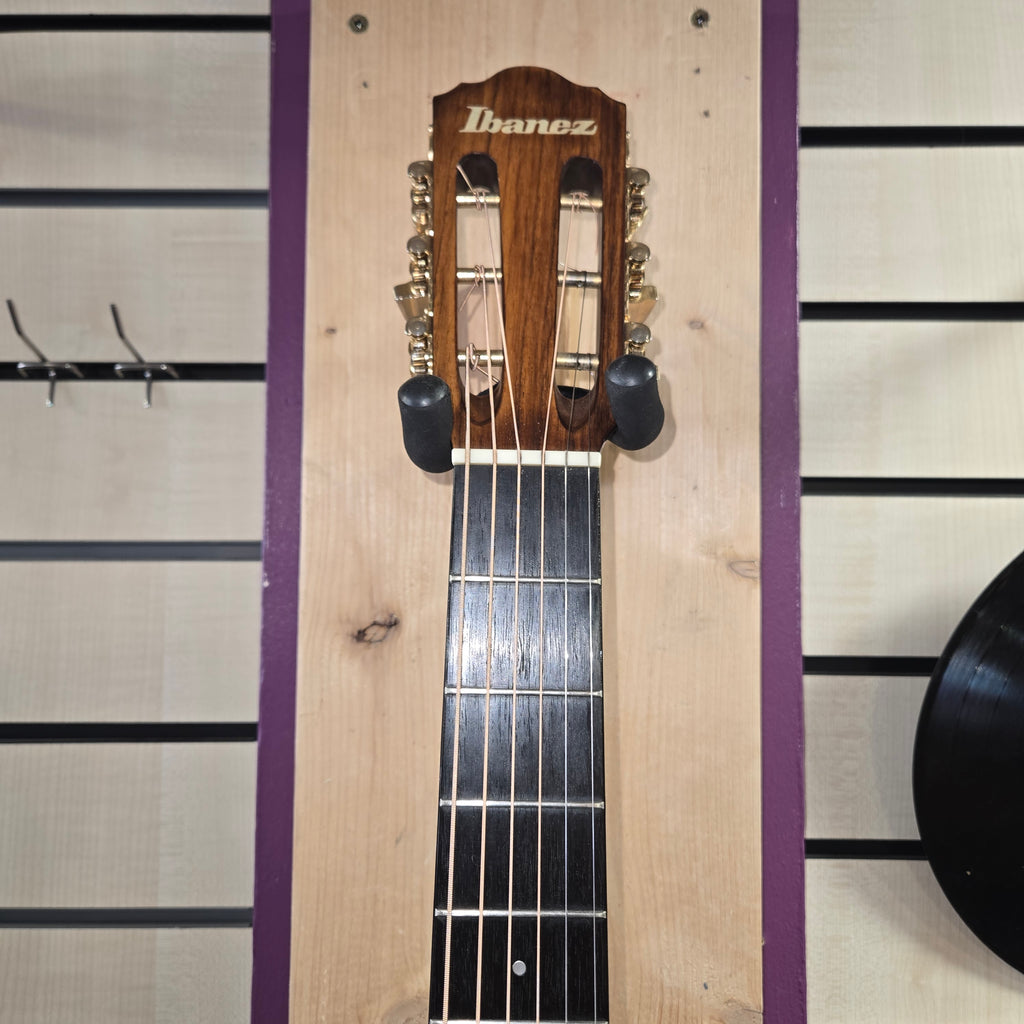 Pre loved Ibanez V100