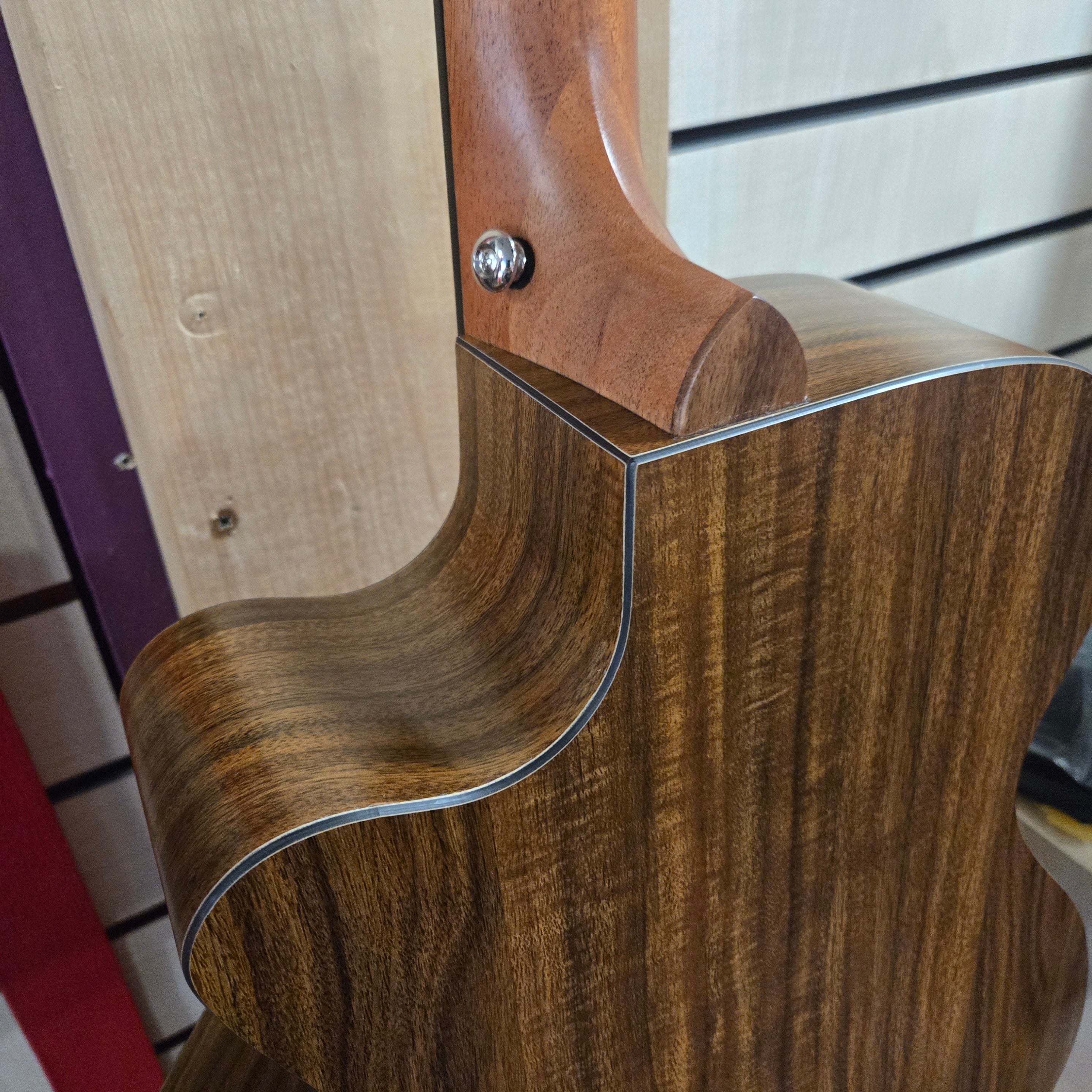 Tanglewood TM4 CE