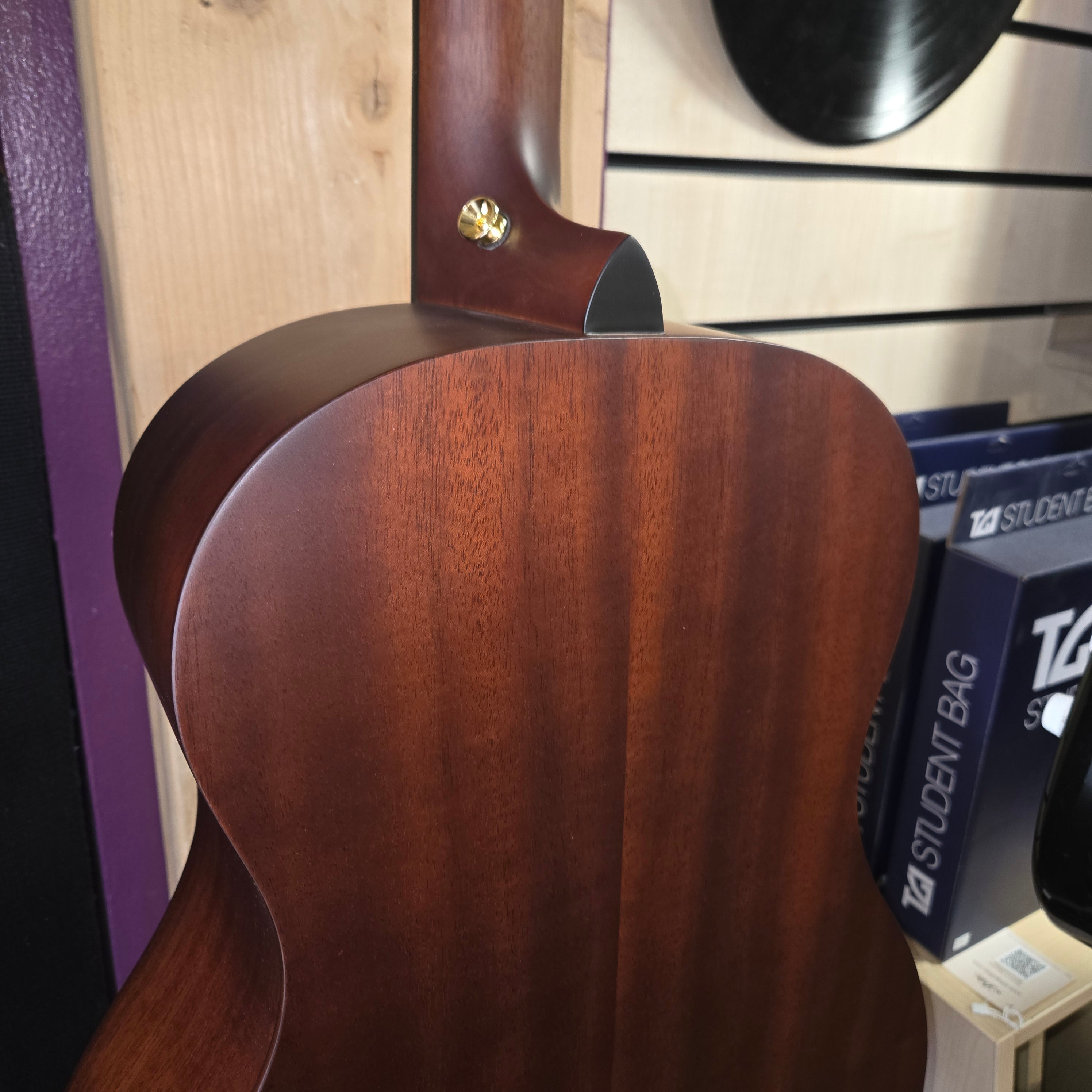 Tanglewood TE8 EBL
