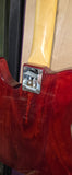 G&L ASAT Special Irish Ale