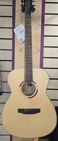 Tanglewood TS3