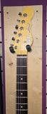 G&L ASAT Special Irish Ale