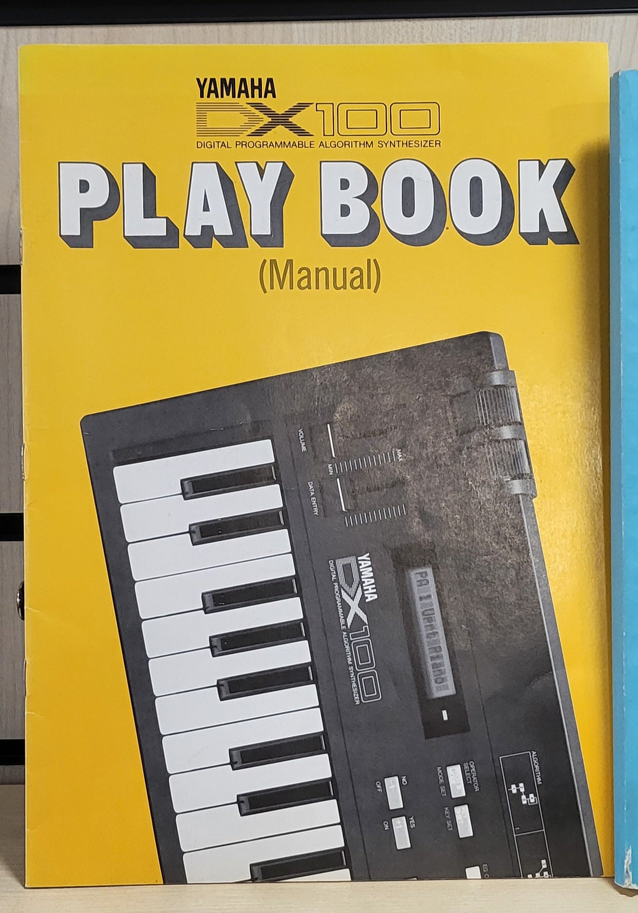 Yamaha DX100