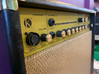 Kinsman KAA50 acoustic amp